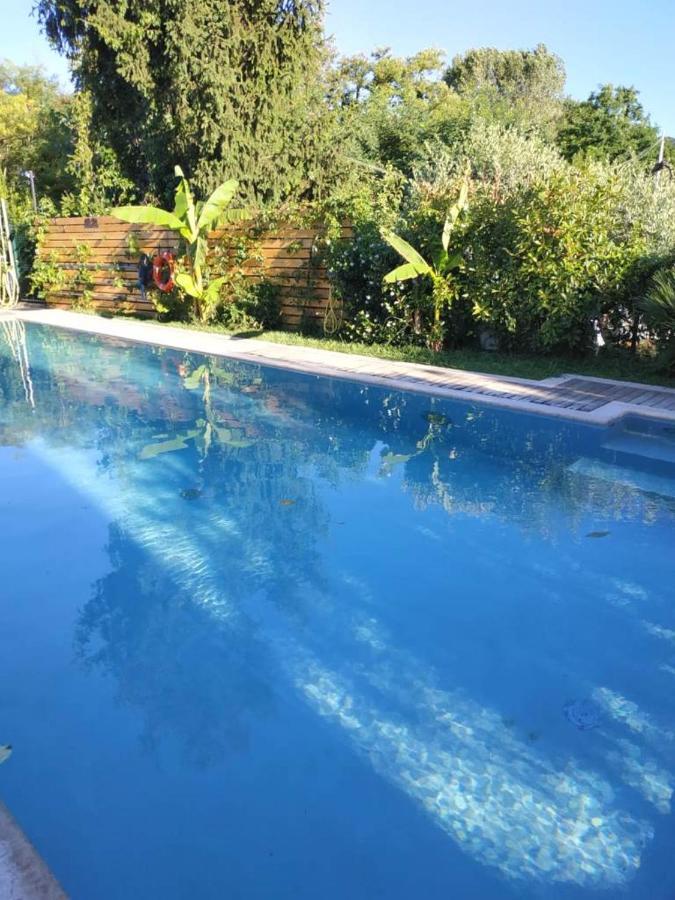 Villa Paradiso Del Garda Vista-Verde Bardolino Exteriér fotografie